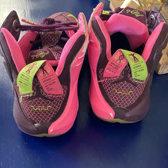 lrj sfg lebron shoes